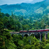 Bandarawela & Haputale Tea estate trail